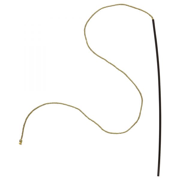 Dompteur / Zirkusdirektor Peitsche, - Widmann