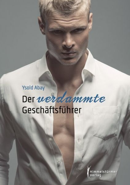 Der verdammte Geschäftsführer - Himmelstürmer