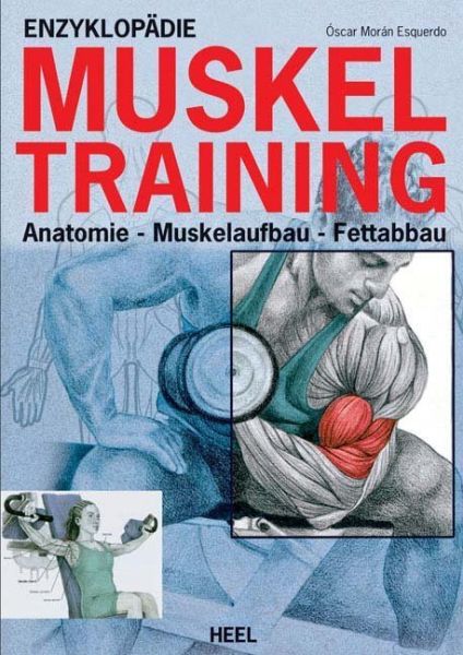 Enzyklopädie Muskeltraining: Anatomie - Muskelaufbau - Fettabbau - Heel Verlag