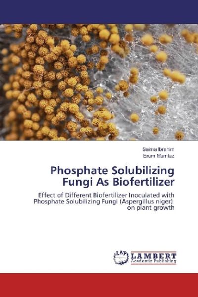 Phosphate Solubilizing Fungi As Biofertilizer: Effect of Different Biofertilizer Inoculated with Pho - LAP Lambert Acade...