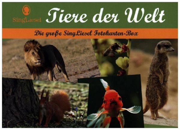 Tiere der Welt, 40 Karten: Die große SingLiesel Fotokarten-Box - Singliesel