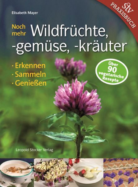 Noch mehr Wildfrüchte, -gemüse, -kräuter: Erkennen, Sammeln, Genießen - Stocker