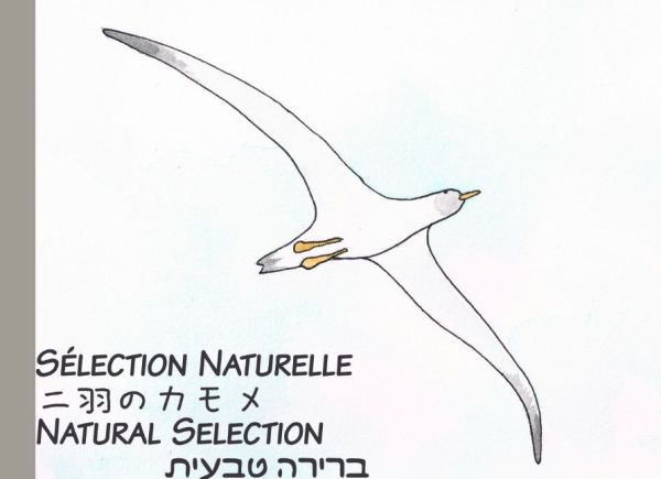 Natural Selection: Sélection Naturelle