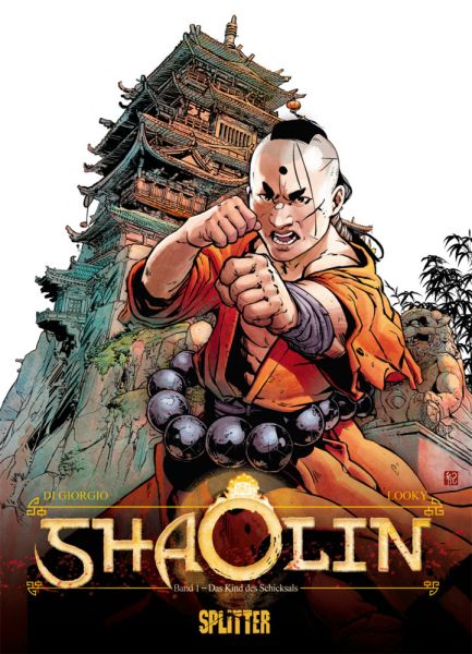 Shaolin. Band 1: Das Kind des Schicksals - Splitter