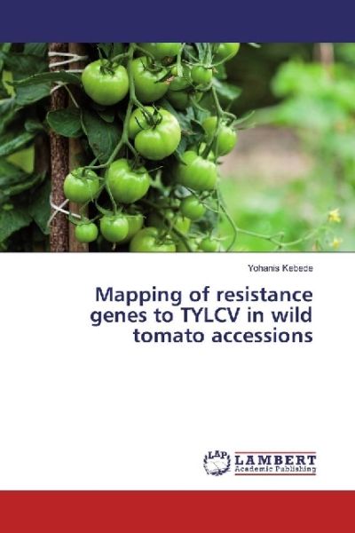 Mapping of resistance genes to TYLCV in wild tomato accessions - LAP Lambert Acade...