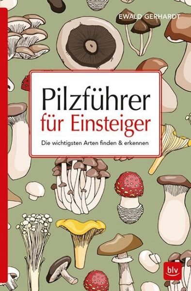 Pilzführer für Einsteiger: Die wichtigsten Arten finden & erkennen - BLV Buchverlag