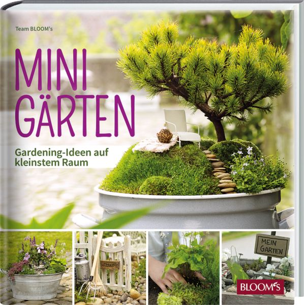 MINIGÄRTEN: Gardening-Ideen auf kleinstem Raum - BLOOM's
