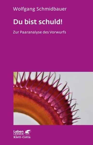 Du bist schuld!: Zur Paaranalyse des Vorwurfs - Klett-Cotta