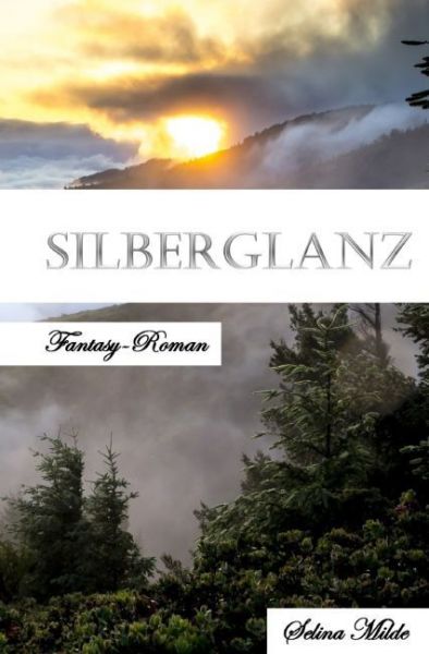Silberglanz - epubli